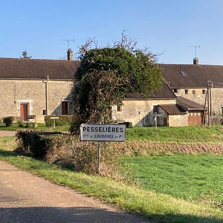 فيلا Longere Campagne 10 Pers. Proche Guedelon Sougeres-en-Puisaye المظهر الخارجي الصورة